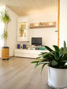 Ferienwohnung mit Entspannungserlebnis im Garten mit Terrasse