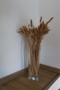 Appartements Quiet cottage : photos des chambres