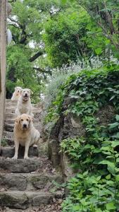 Maisons de vacances Gite Le Verger Paisible : photos des chambres