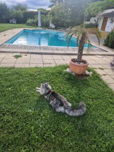 Alps and Lakeview Villa with Pool