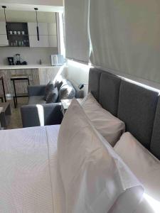 Perfect studio light and nature in Aldea Zama