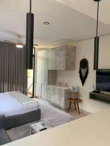 Perfect studio light and nature in Aldea Zama