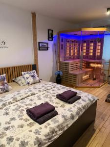 Wellness soba Skriti raj Banovci