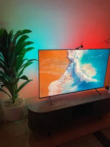 استديو مميز بدخول ذاتي