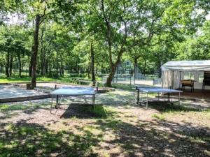 Campings Mobil-home familial a Royan, 3 chambres, terrasse - API-1-52-371 : photos des chambres