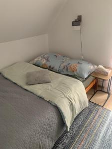 Domek w lesie blisko rzeki