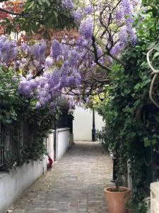 Unique House in the 16