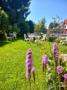 Frühstückspension Gasthof Gesslbauer