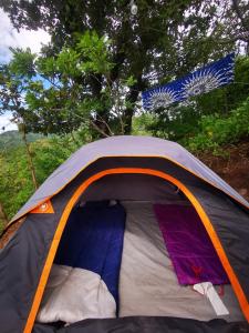 Bee Fresh Camping y Mirador