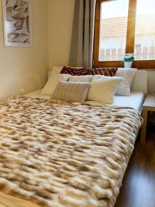 Kékpillangó Vendégház, Tiszafüred