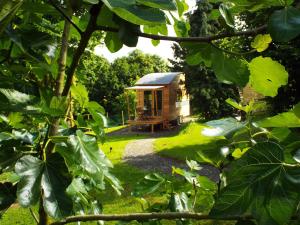 Maisons de vacances Tiny House 