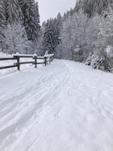 Châtel - appartement 4 personnes