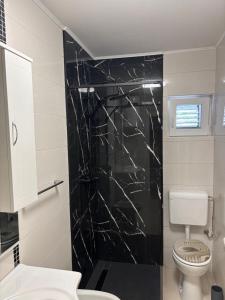 Villa Dalmatia with pool