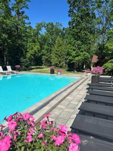 Лісова Казка