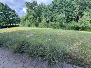 Feld & Flair Apartment