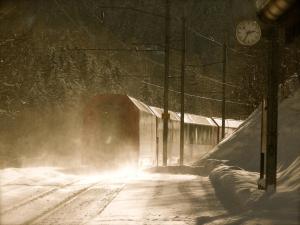 Swiss Chalet on slopes up to 10pax!
