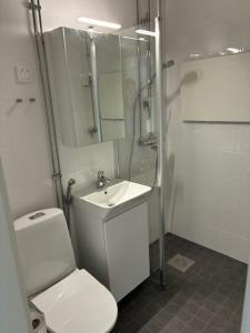 Rovaniemi City Center 1