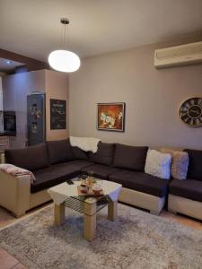 Center Luxury Apartment