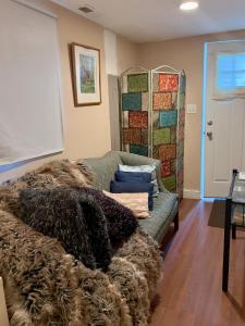 Charming 1-bedroom Basement Close to DC Pets Allowed