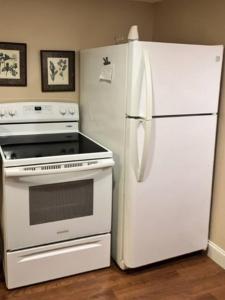 Charming 1-bedroom Basement Close to DC Pets Allowed