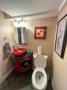 Charming 1-bedroom Basement Close to DC Pets Allowed