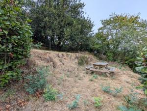 Appartements T3 duplex centre - 10 min de la gare a pied : photos des chambres