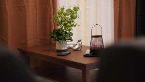Modern and cozy apartment in Las Tablas