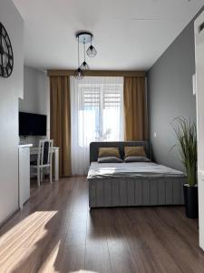 Apartamenty w Kamienicy