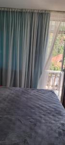 Borjomi Cozy Cottage