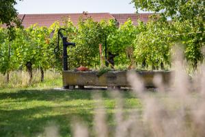 Maisons de vacances Gite des cigognes : photos des chambres