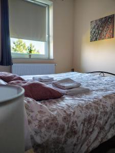 Apartament SYLVIA Self Check-In Netflix