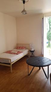 Appartements Entire 1 bedroom apartment, Albi center : photos des chambres