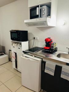 Appartements Cozy T2 with terrace, TCL access : photos des chambres