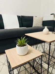 Appartements Cozy T2 with terrace, TCL access : photos des chambres