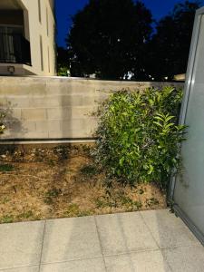 Appartements Cozy T2 with terrace, TCL access : photos des chambres