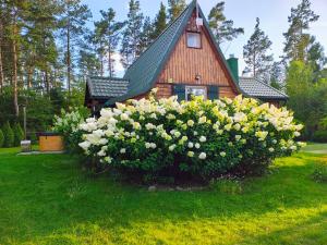 Chatka Baby Jagi - Domek z balią i kominkiem w lesie pośród jezior