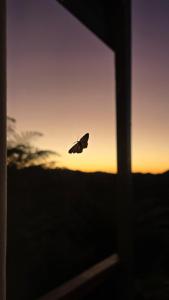 Cabana Momento, o Melhor Nascer do Sol de Urubici