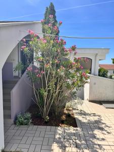 Stylish apartment with sea view
