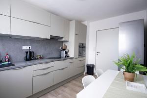 75m2 Designer Apartment close to Bregenz