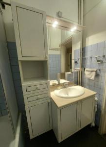 Large 1st floor apartment, Schaerbeek, Brussels