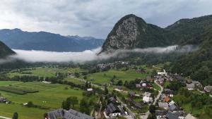 Apartma Oreh Vila Ziba