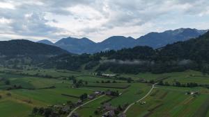 Apartma Oreh Vila Ziba