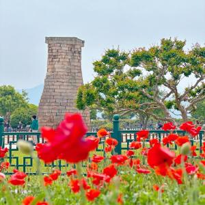 Entire House near Cheomseongdae, Great location