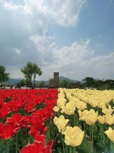 Entire House near Cheomseongdae, Great location