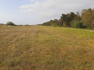 Luxury Retreat in Marielyst - By Traum Ferienwohnungen