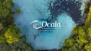 King Bed Studio Near Silver Springs WEC Zipline