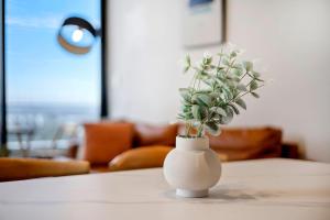 Skyline Views 2BR Plus 1 Study in Liverpool with Pool