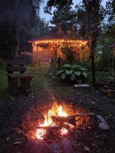 Dziki brzeg Jezioraka