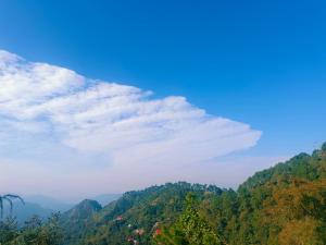 Nature Sanctuary Stay