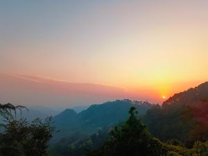 Nature Sanctuary Stay